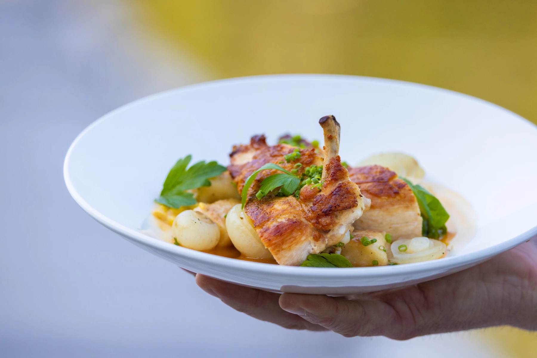 A server is holding a plate with a golden-browned chicken leg and thigh, garnished with green herbs, accompanied by small potatoes and onions.