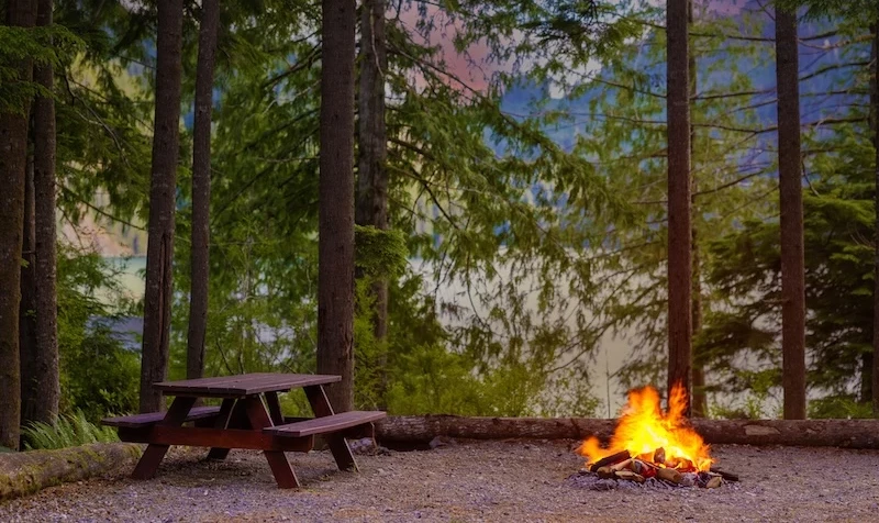 Moutcha Bay Resort campsite with a wooden picnic table and a crackling campfire. Tall trees surround the area, suggesting a peaceful, secluded spot in nature.