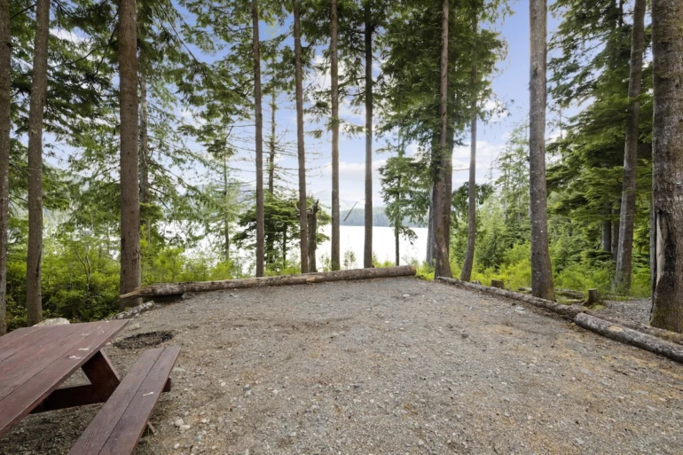 A serene, spacious campsite at Moutcha Bay Resort surrounded by tall trees, with a wooden picnic table to the side and a view of the water in the background.