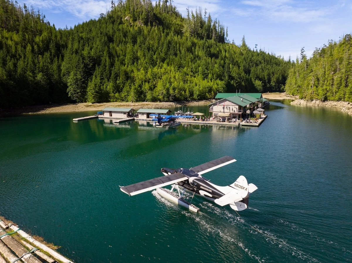 A seaplane is landing at Newton Cover Resort with docks and boats, surrounded by lush green forests under a clear blue sky.