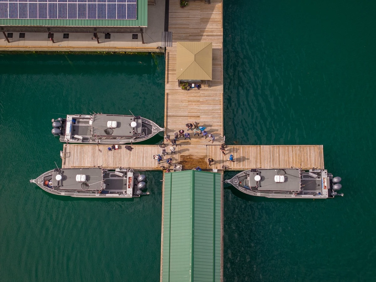 Aerial view of a wooden dock at Newton Cove Resort with two boats docked on either side and several guests gathered in the center, near a small structure.