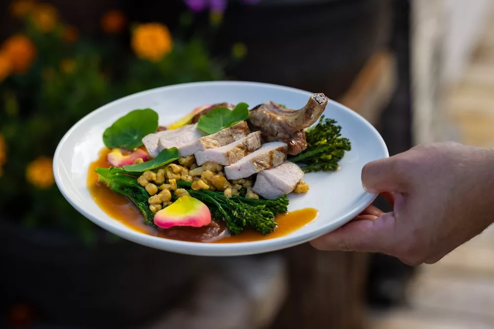 A servers hand holding a white plate with a gourmet dish consisting of sliced meat, greens, and colorful garnishes, with a blurred nature background.