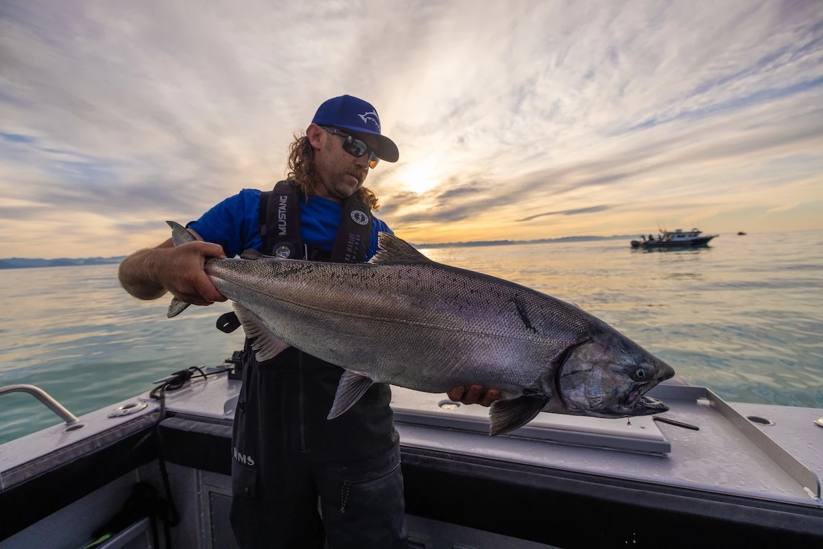 A guide in blue apparel holds a large salmon on a boat at sunset, with calm waters and a colorful sky in the background.